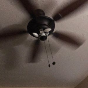 Meet your Posher, Juana